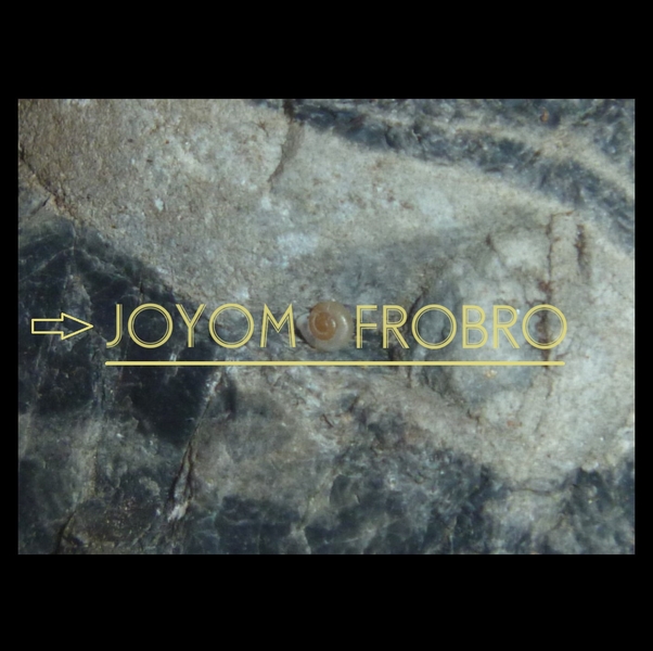 New Image J